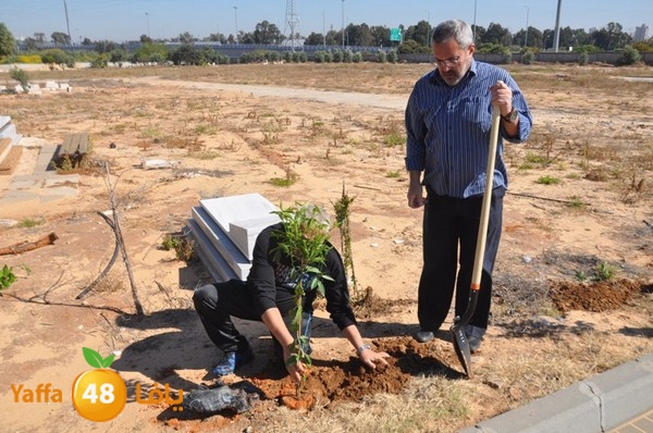 ashjar taso 0328 (10).JPG